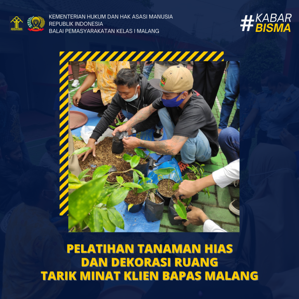 Pelatihan Budidaya  Tanaman  Hias  dan Dekorasi Ruang Tarik 