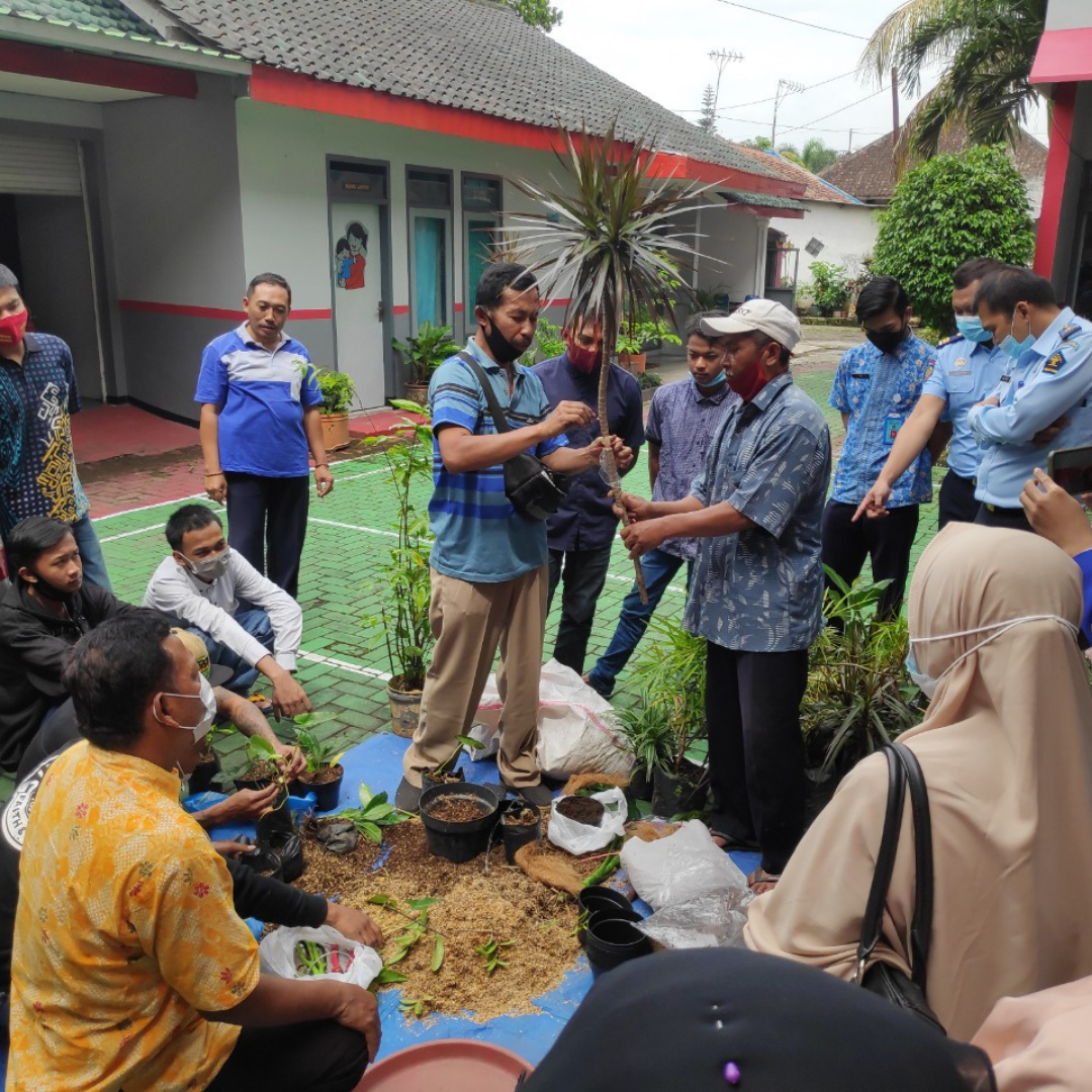 Pelatihan Budidaya  Tanaman  Hias  dan Dekorasi Ruang Tarik 